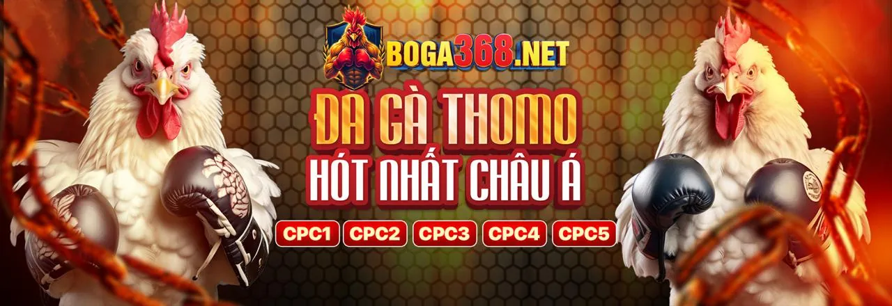 Hình ảnh tổng quan về blog big79 trang chủ, thể hiện sự đa dạng của các trò chơi cá cược trực tuyến