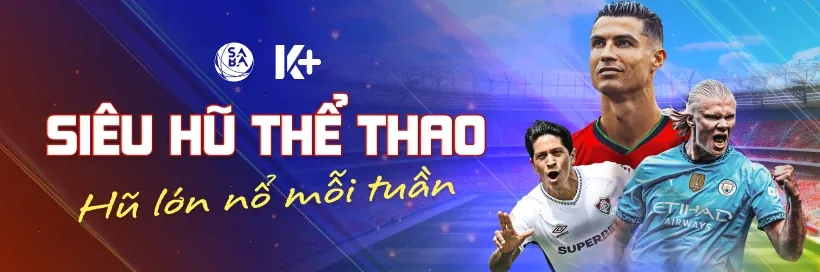 Giới hạn trách nhiệm của big79
